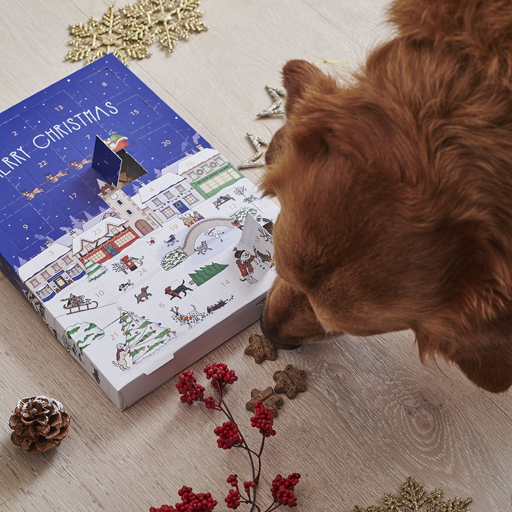 Sweet William Mischievous Mutts Dog Advent Calendar