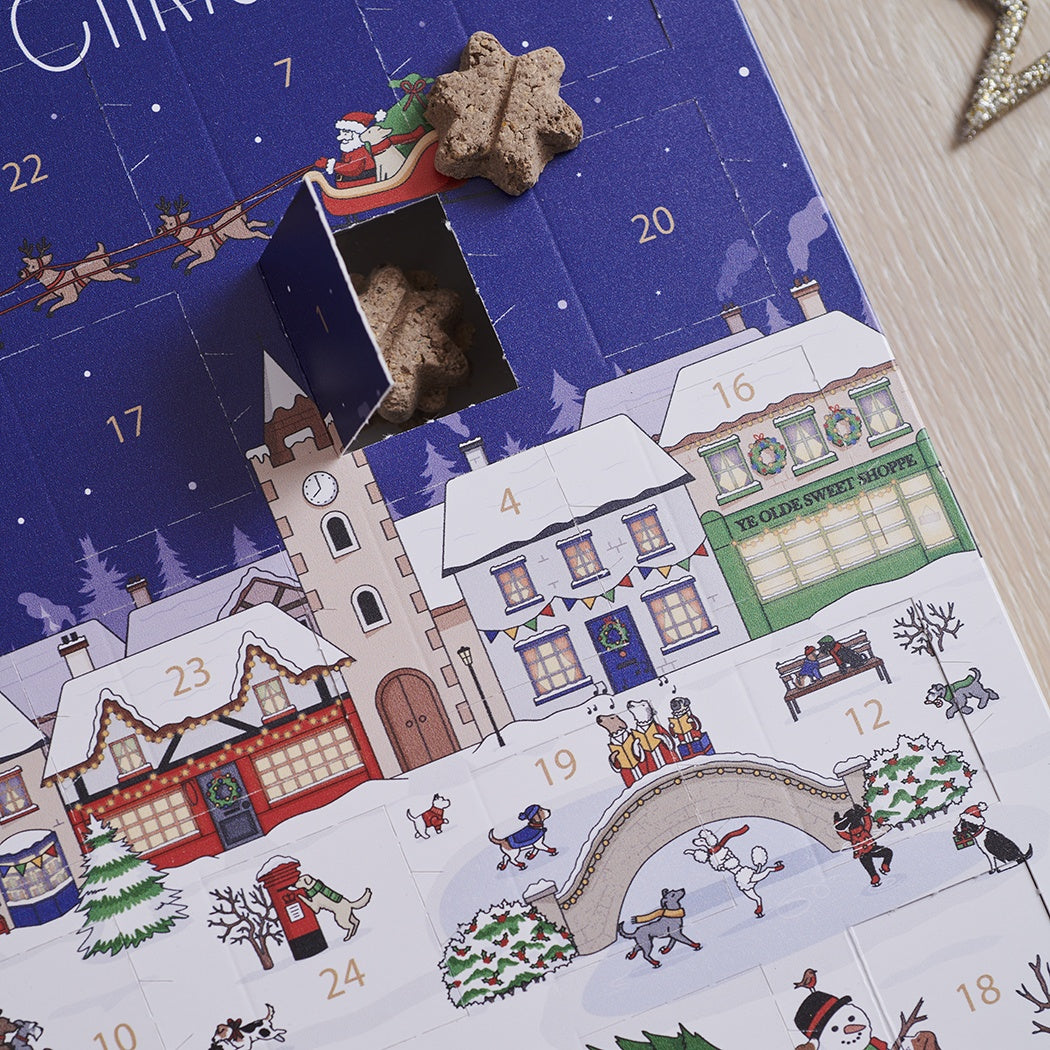 Sweet William Mischievous Mutts Dog Advent Calendar