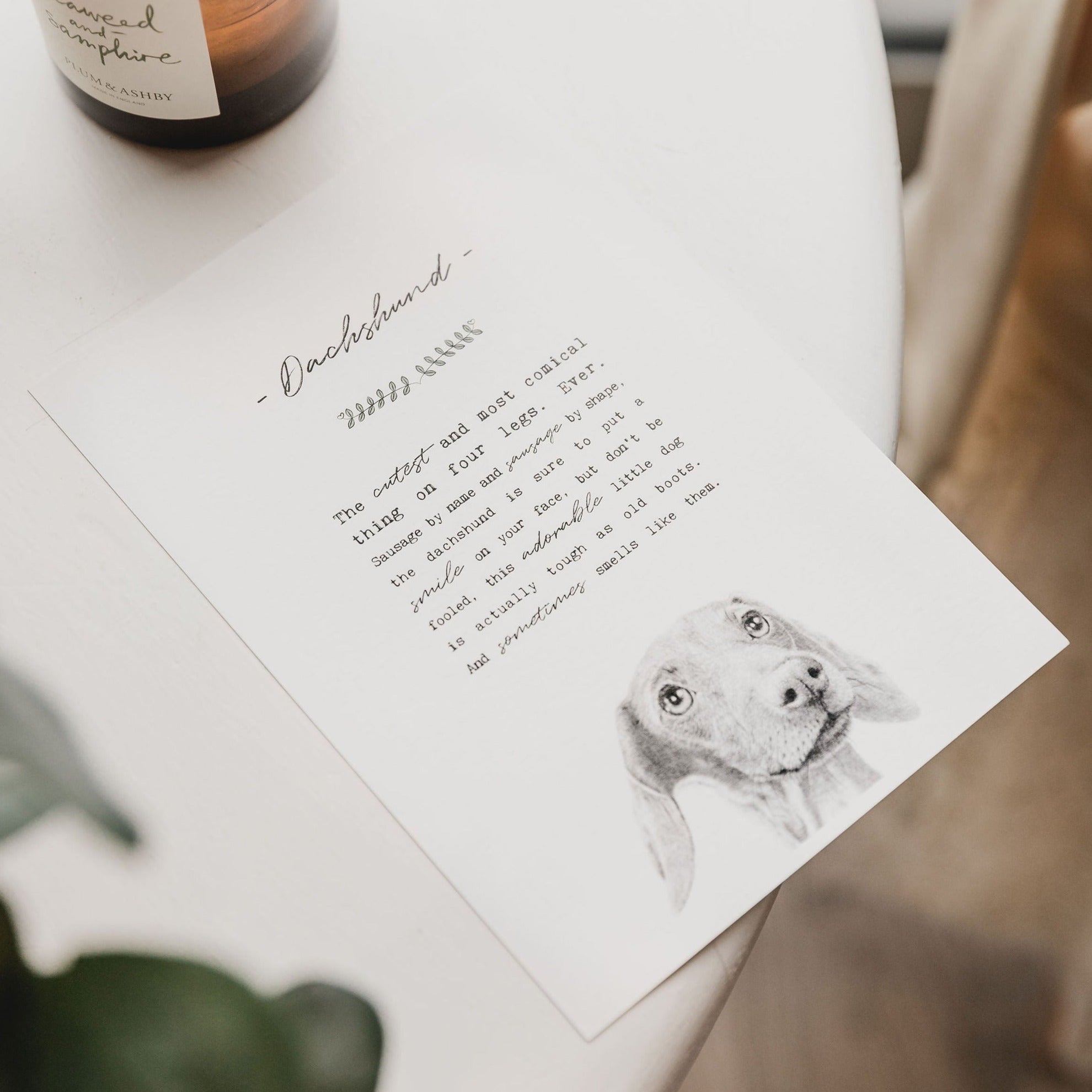 Coulson Macleod Mini A5 Pooch Print