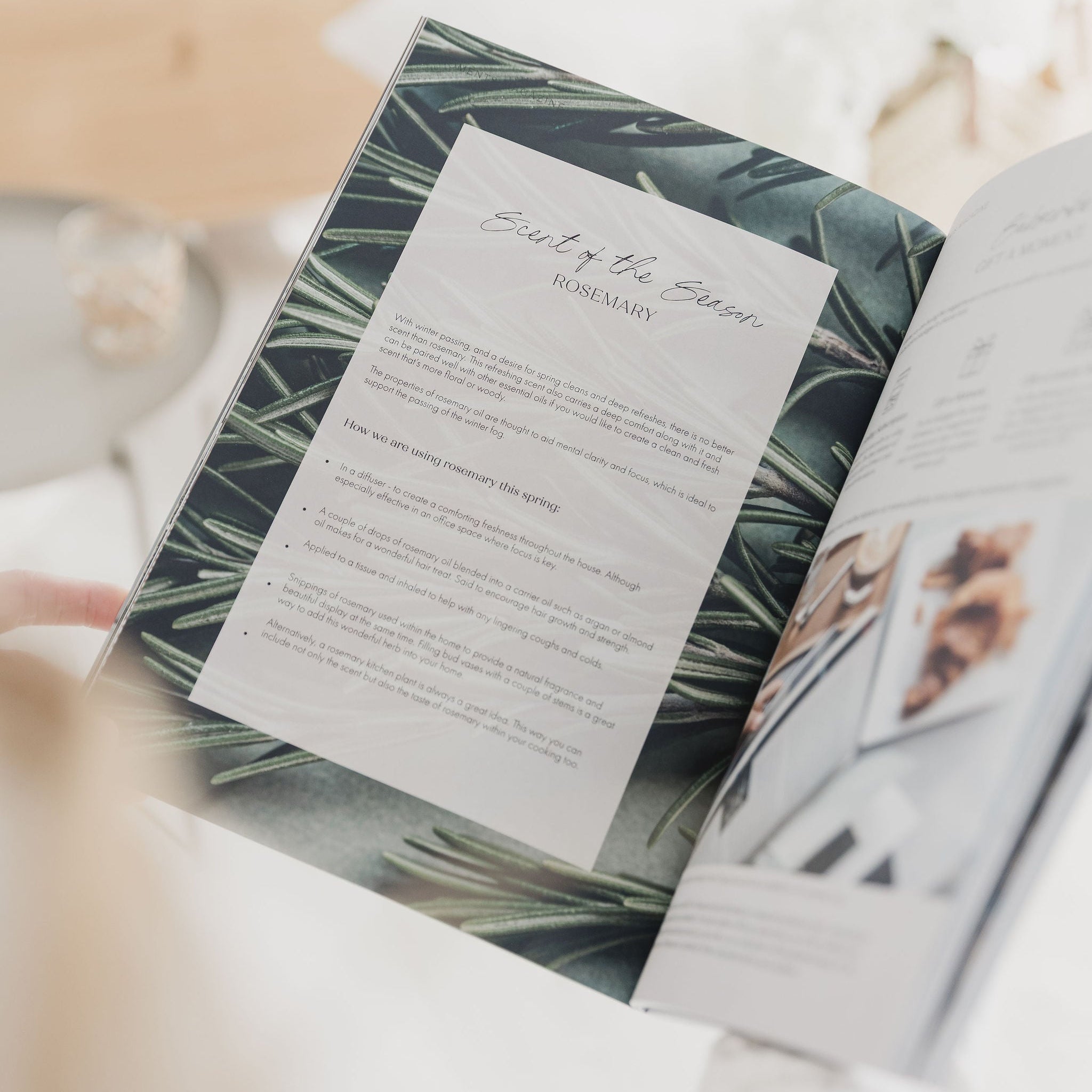 Moments Magazine Volume Two - Spring