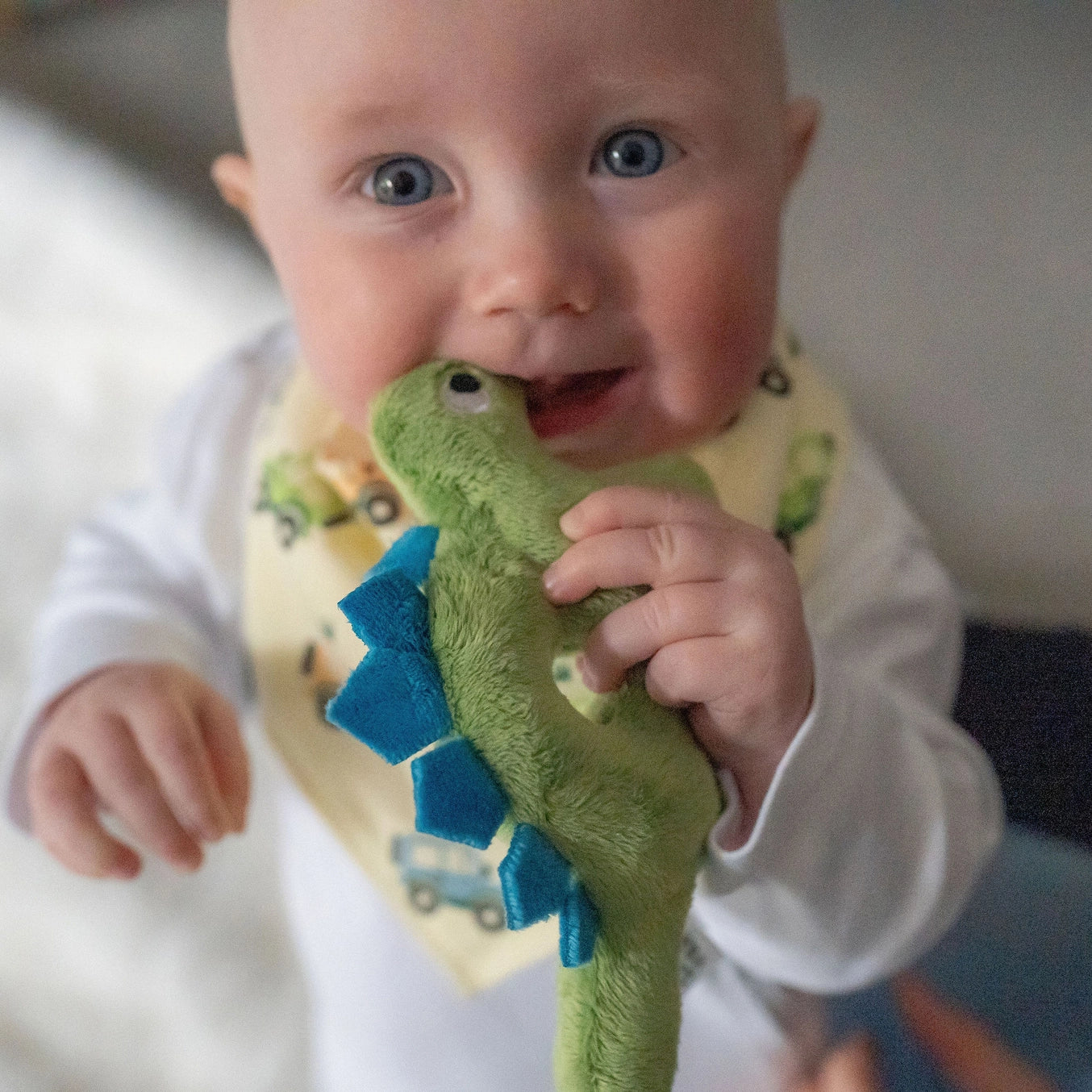 Plush Baby Rattle