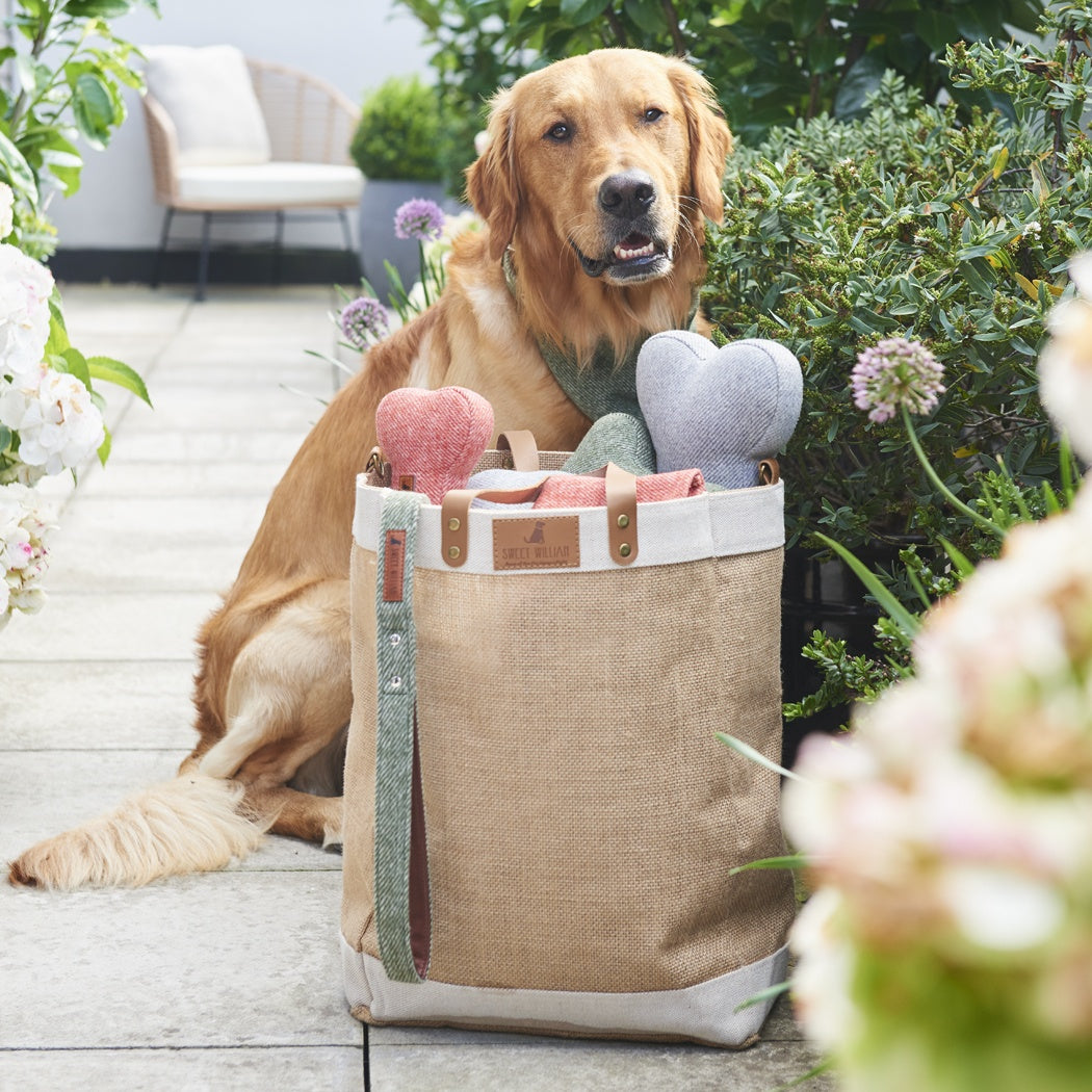 Sweet William Tweed Dog Bone - Grey