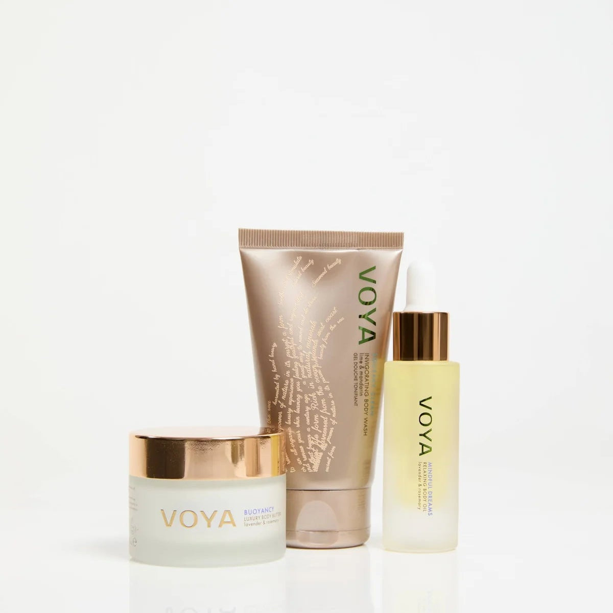 Body Discovery Set