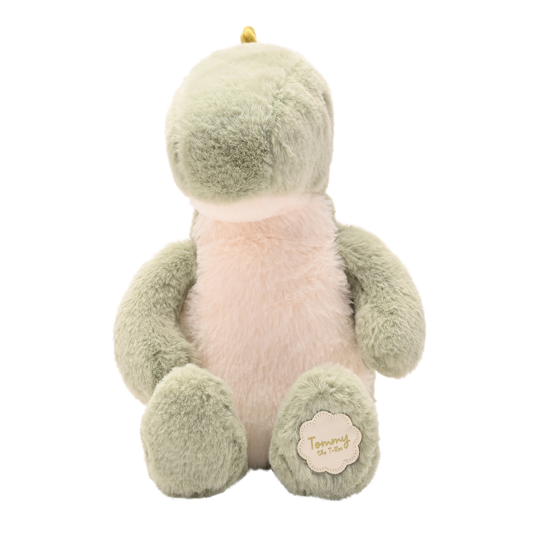 Tommy The Plush Green Dinosaur