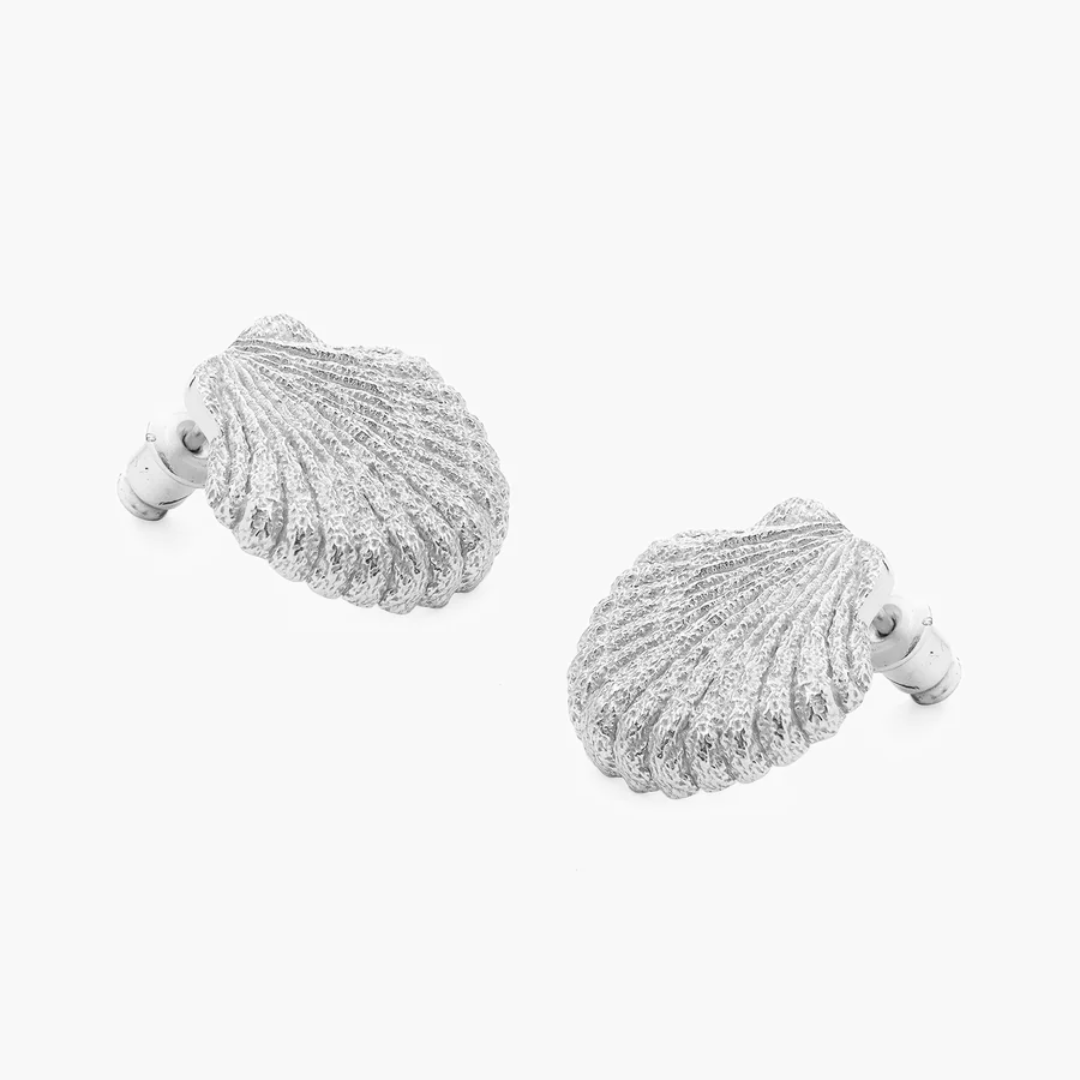 Seashell Earrings