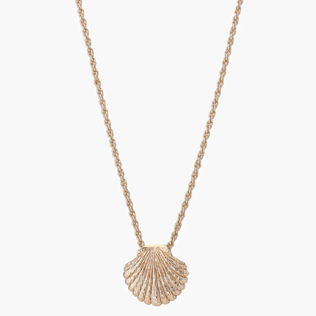 Shell Necklace