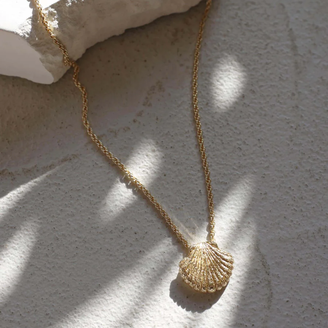 Tutti & Co Shell Necklace