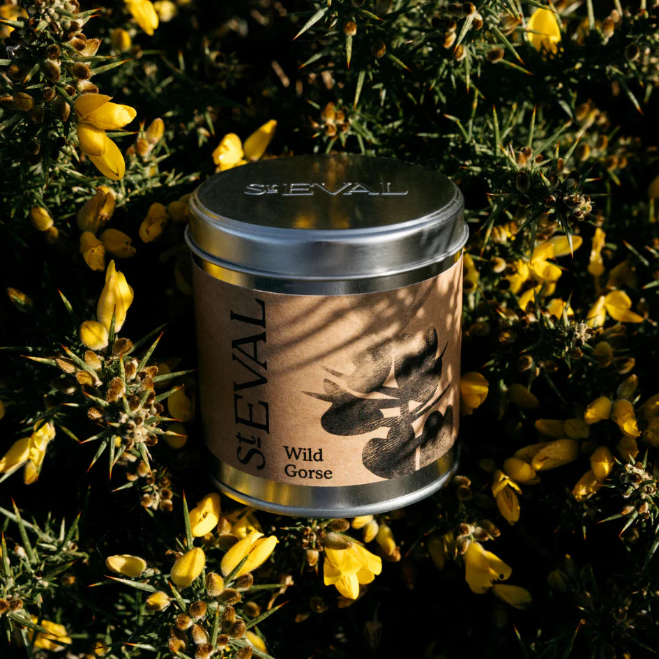 St Eval Scented Tin Candle