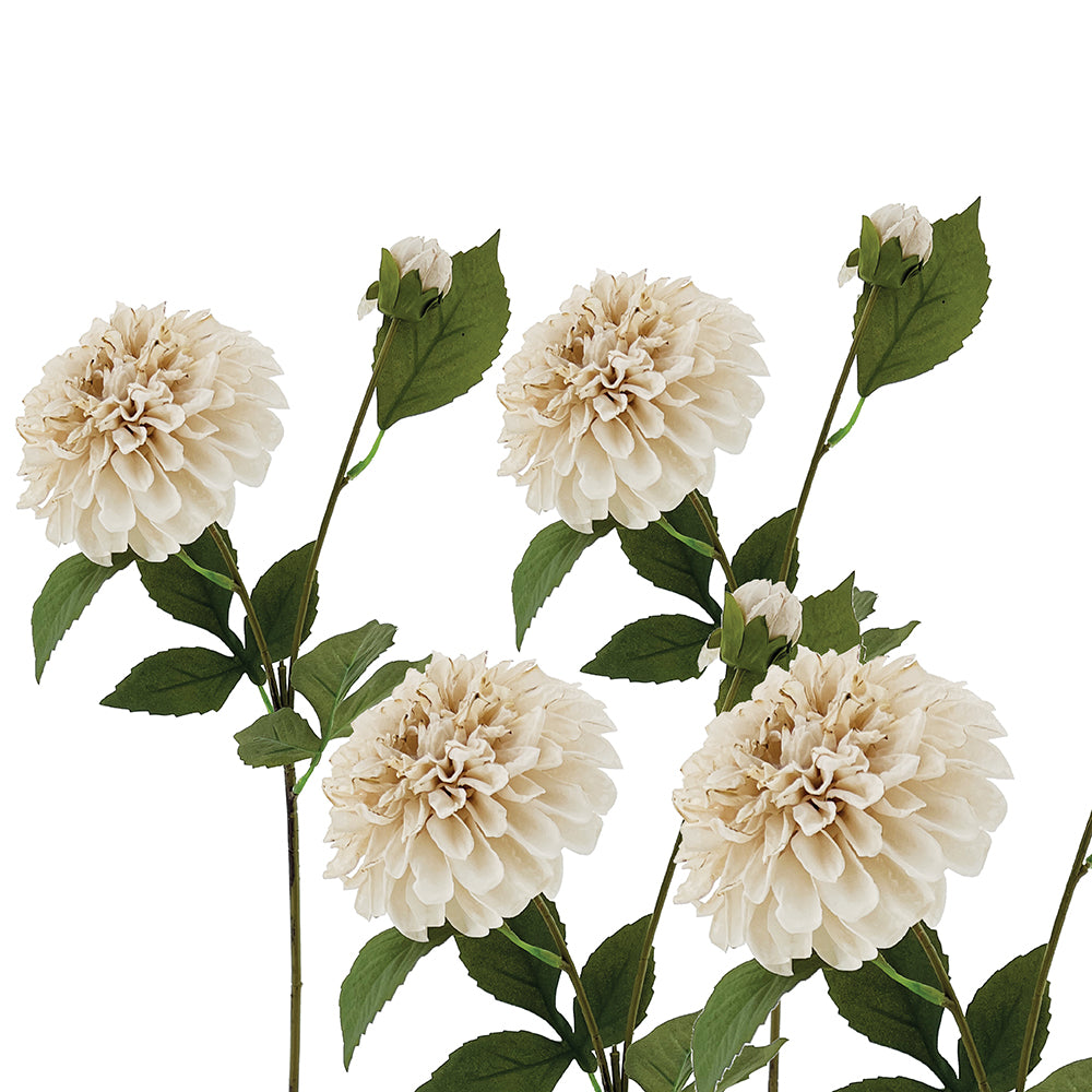 Beige Dahlia Stem