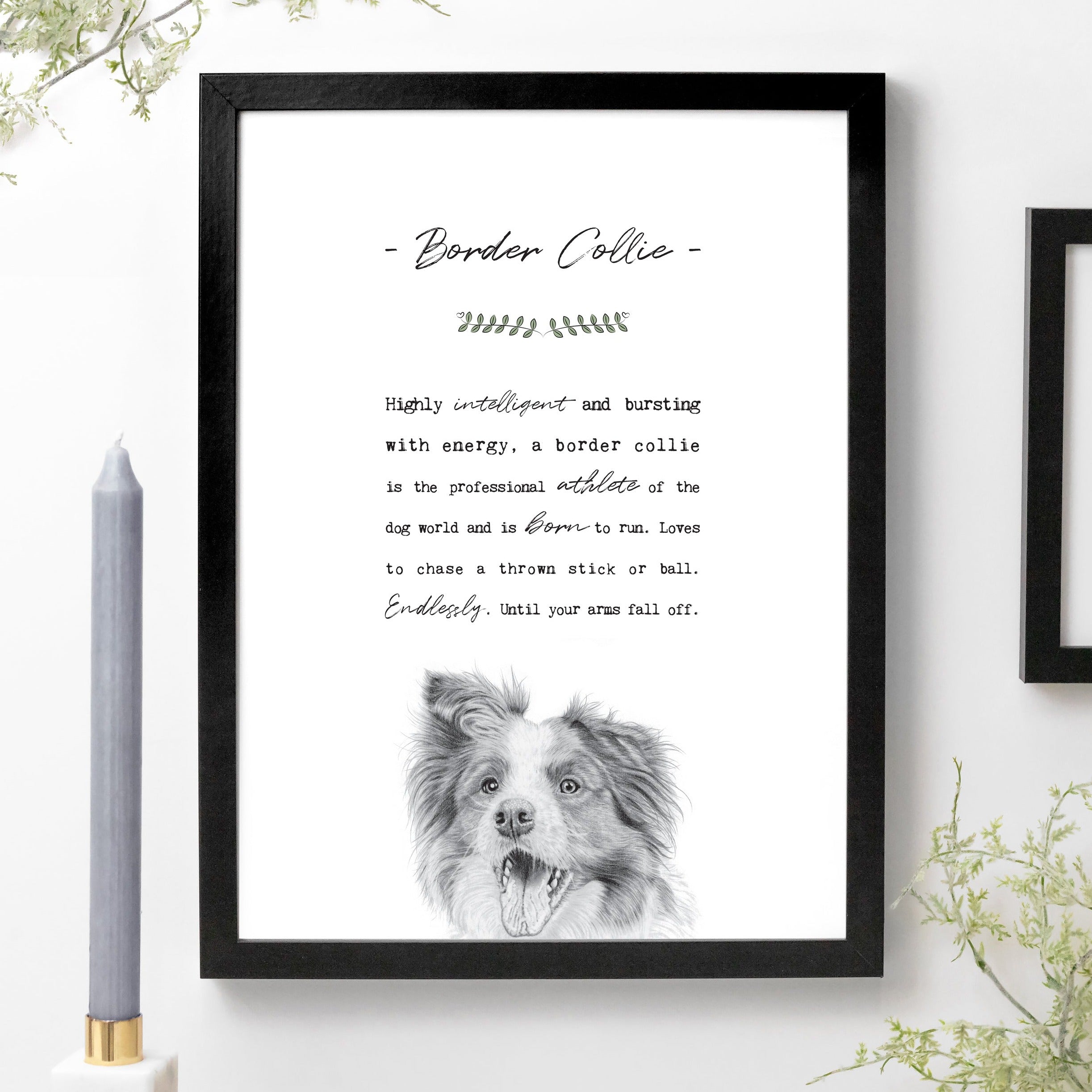 Coulson Macleod Mini A5 Pooch Print