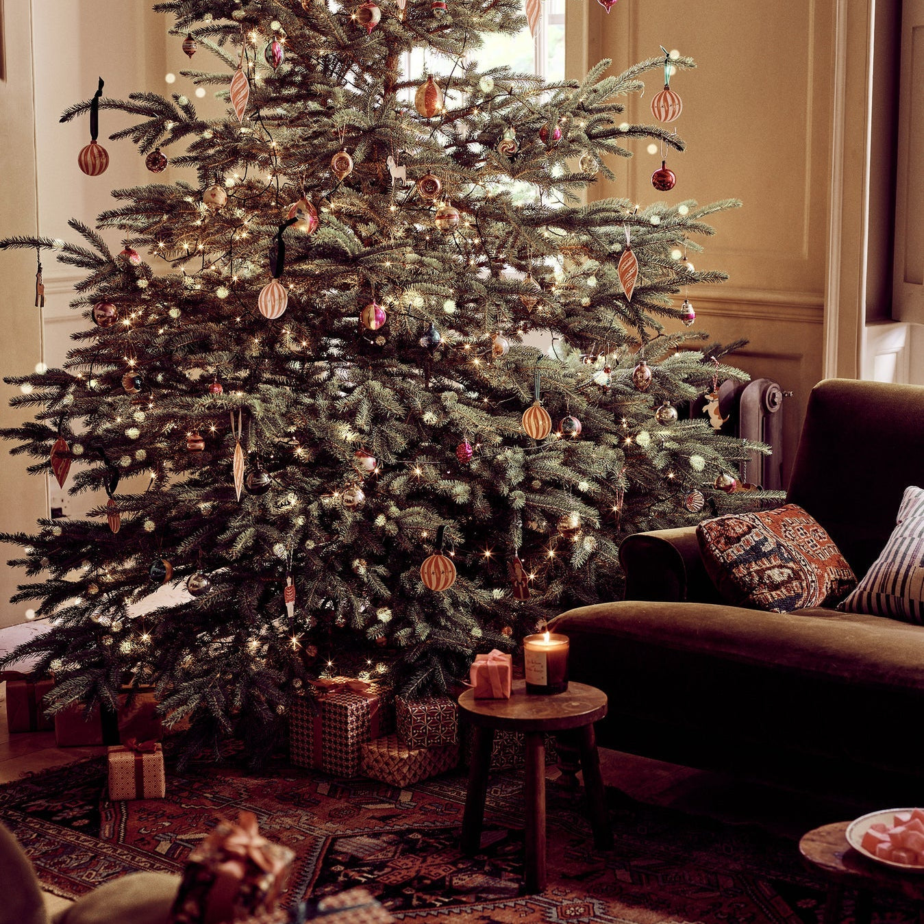 Plum & Ashby Fir Balsam & Winter Berries Candle