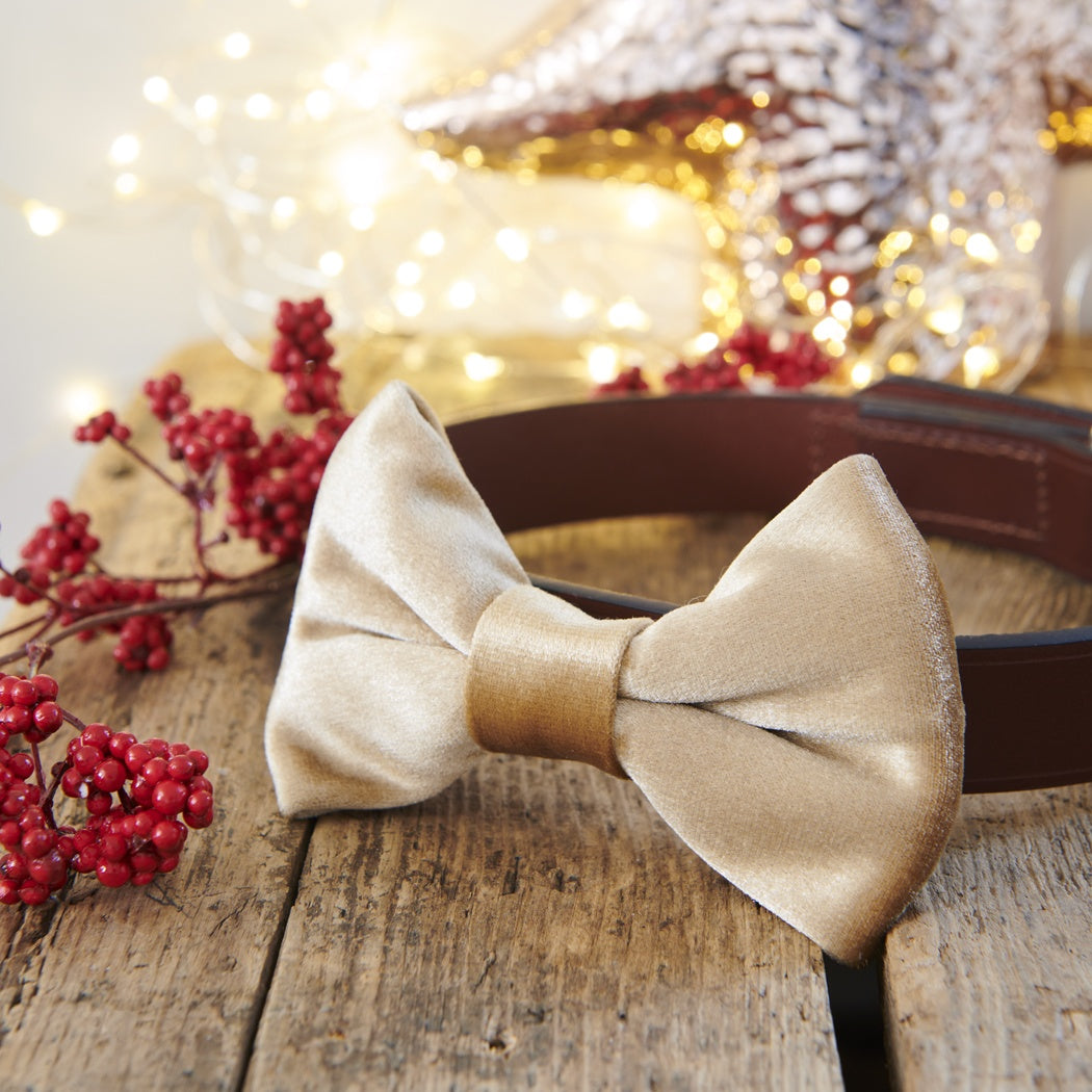 Velvet Christmas Bow Tie - Gold