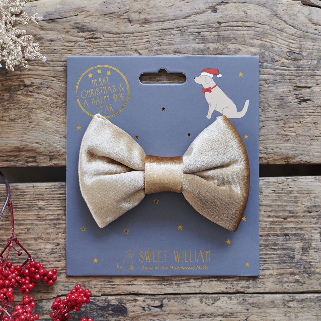 Velvet Christmas Bow Tie - Gold