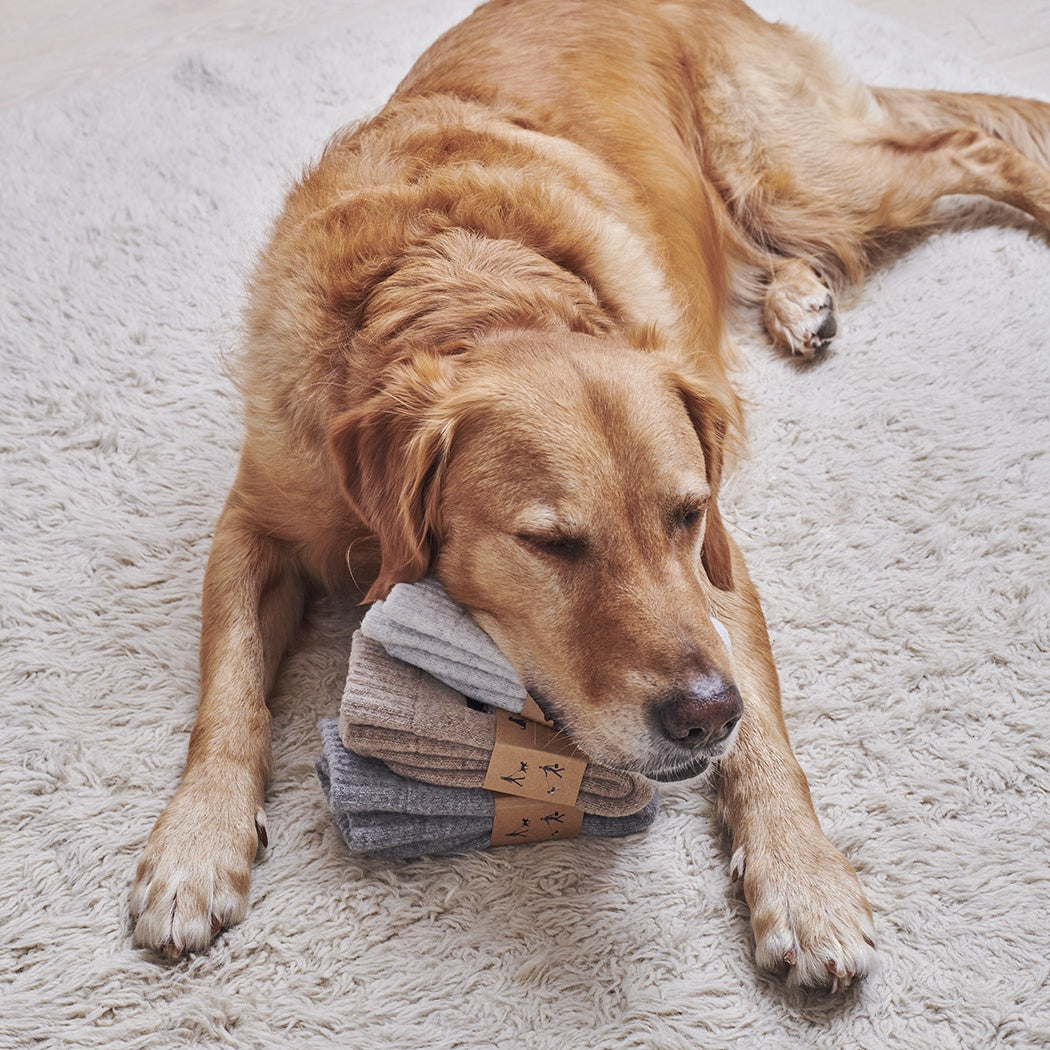 Dog Walkers Socks