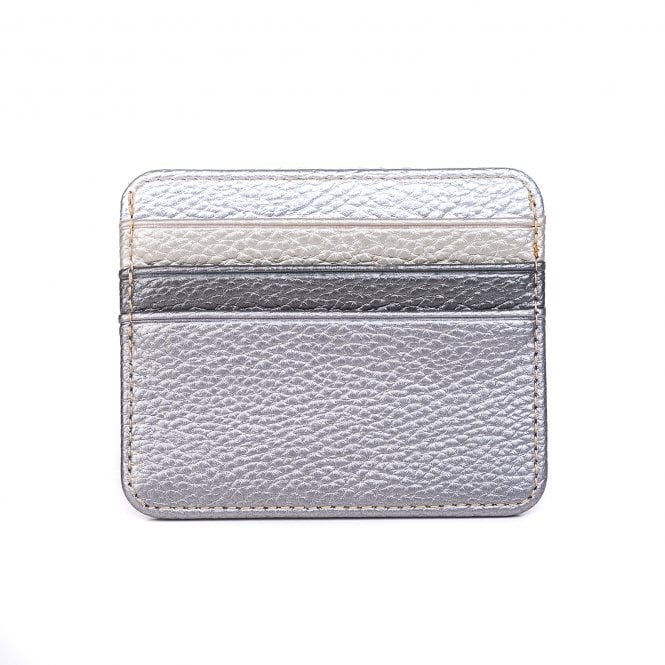 Metallic Card Holder