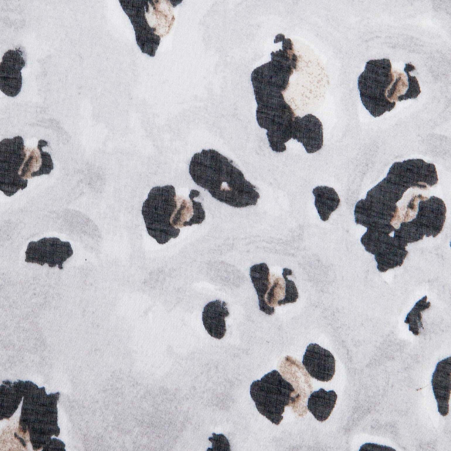 Raya Grey Leopard Scarf