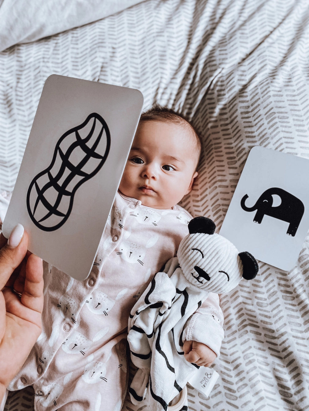 Newborn Sensory Cards (0+ Months Old)