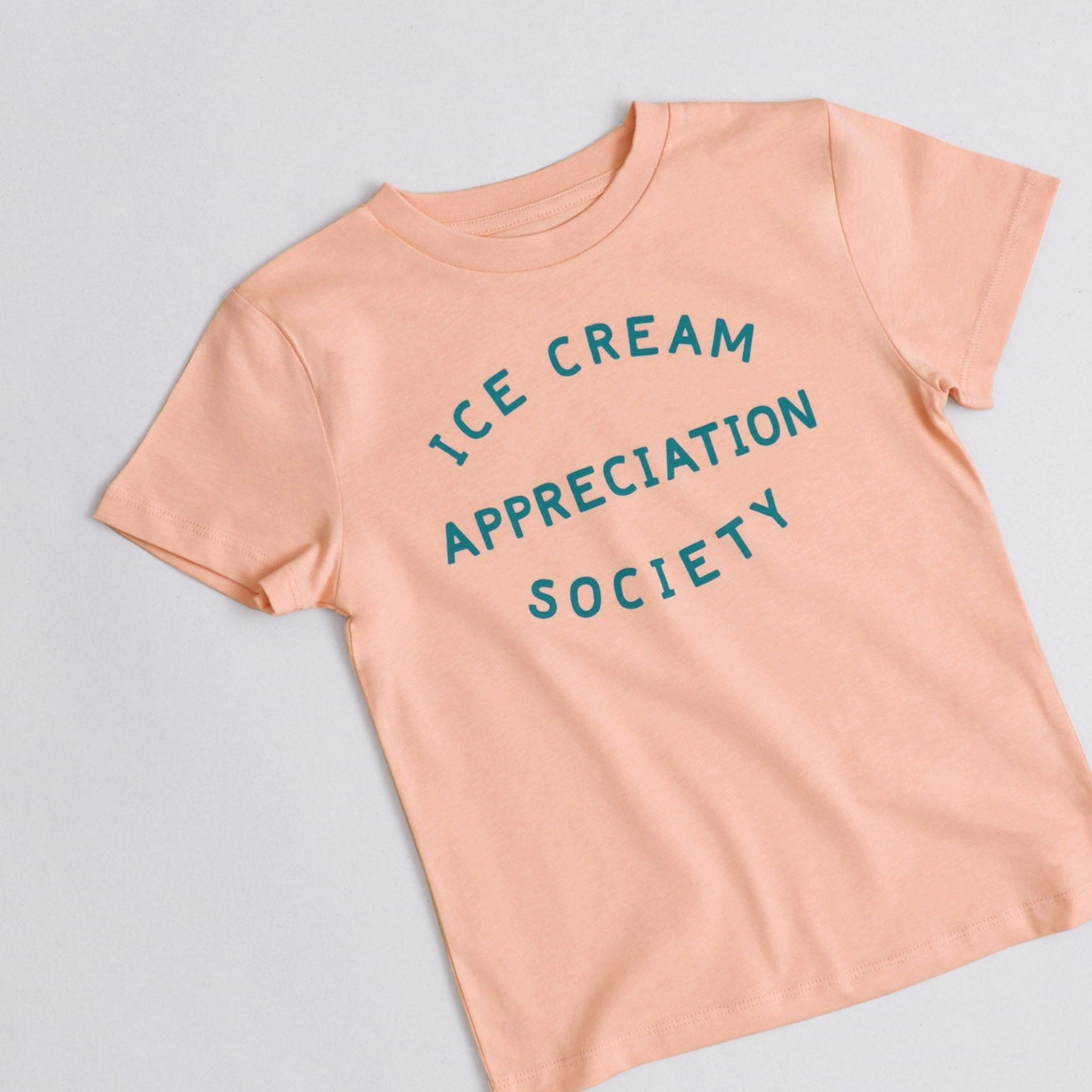 Ice Cream Appreciation Society T-Shirt