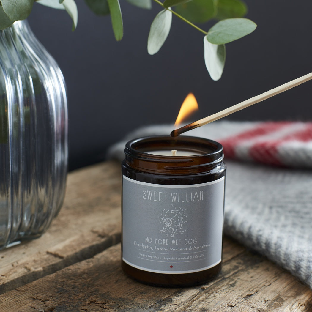 'No More Wet Dog' Organic Candle