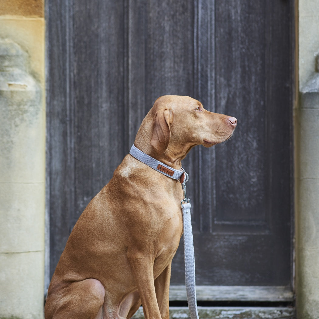 Sweet William Tweed Dog Lead