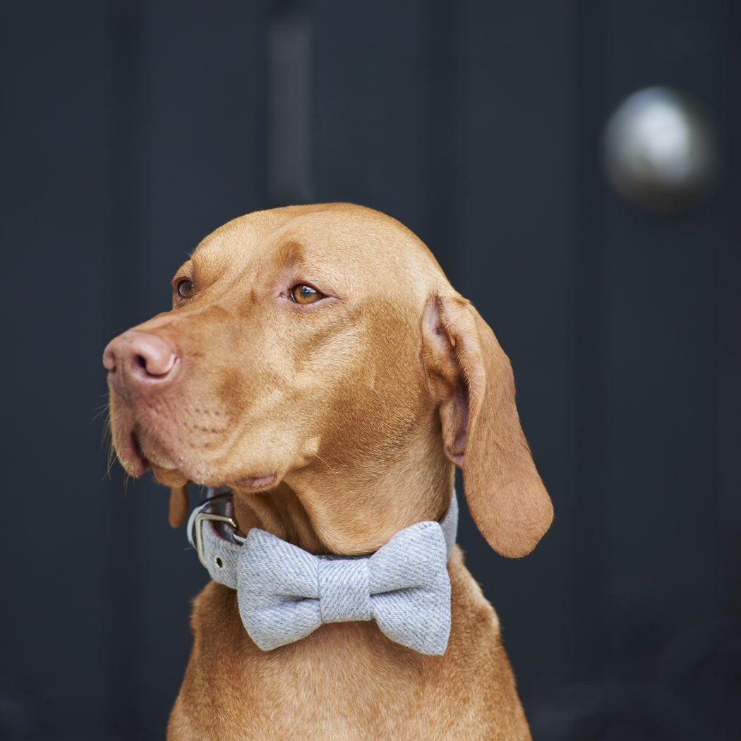 Tweed Bow Tie - Grey