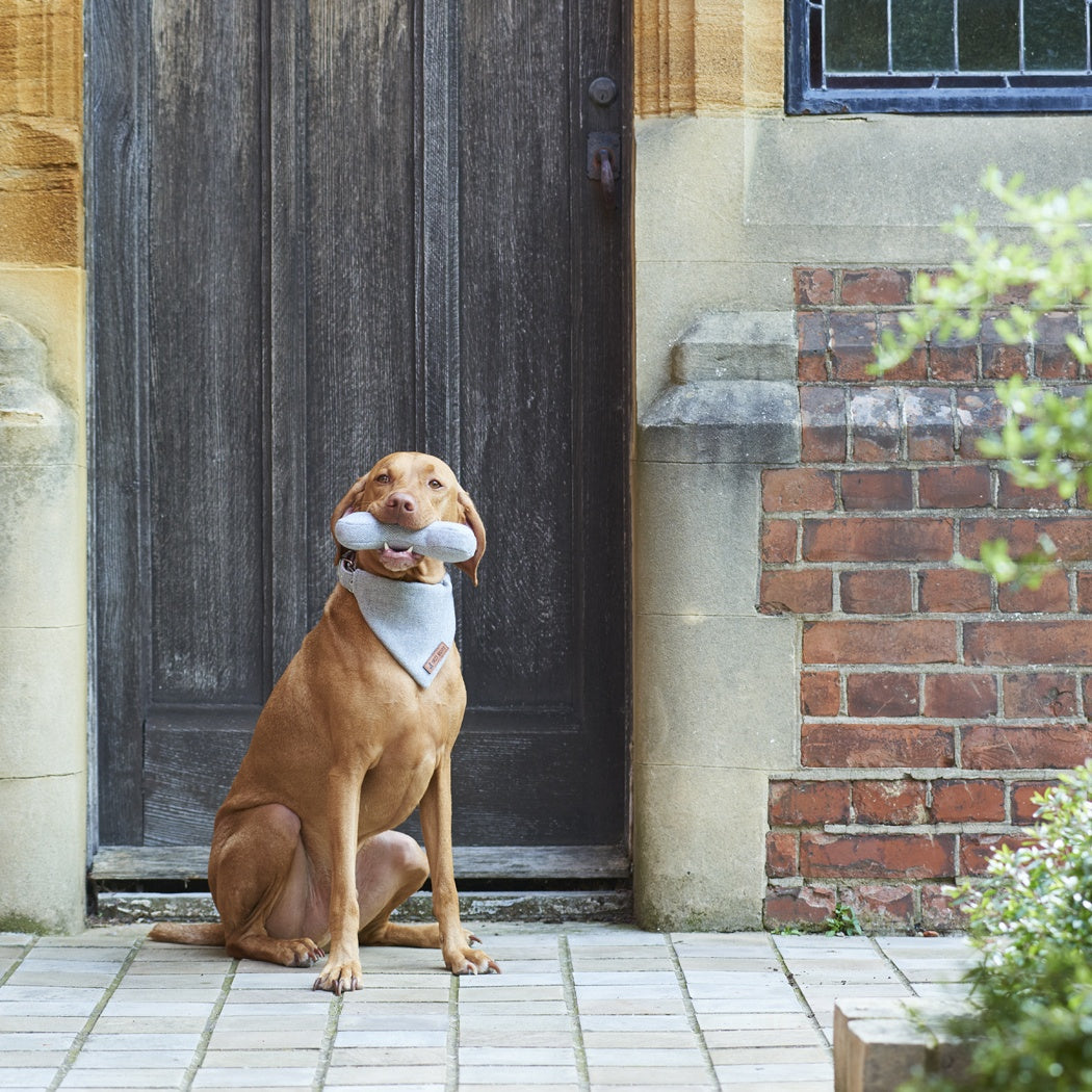 Tweed Dog Bone - Grey