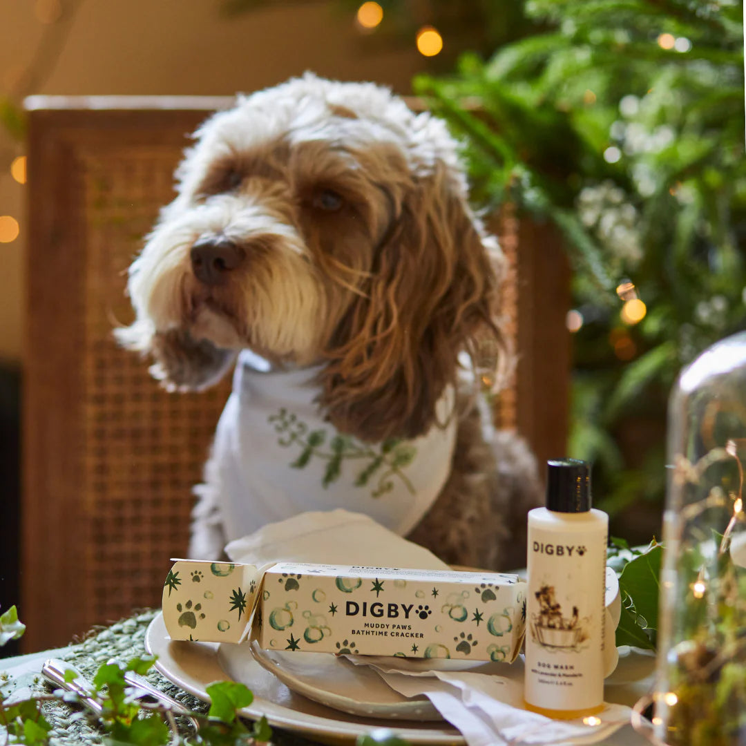Bramley Digby Muddy Paws Bathtime Cracker