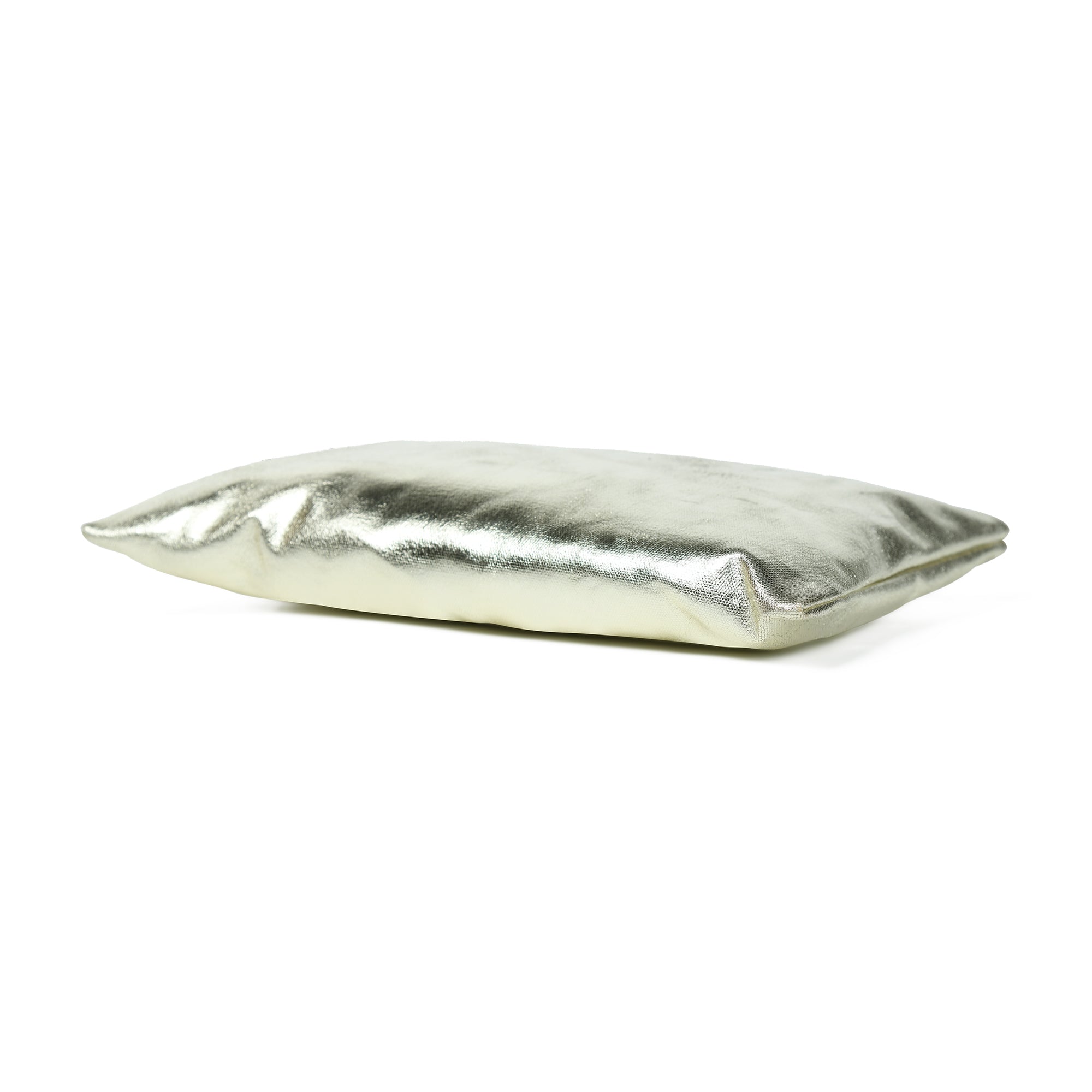 Lily Metallic Canvas Pouch Bag