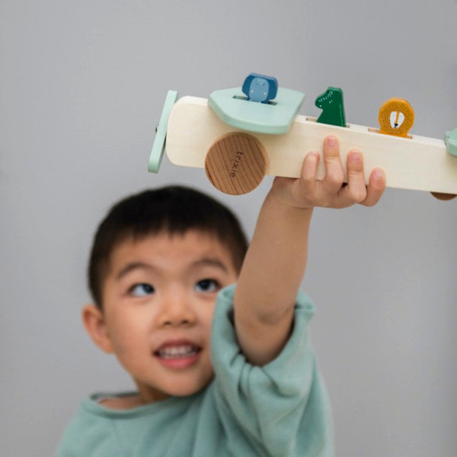 Wooden Animal Airplane