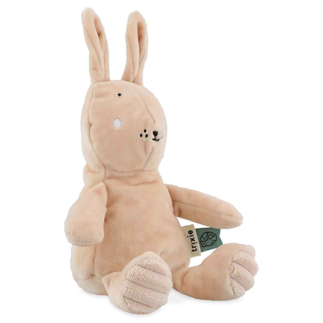 Baby Plush Toy