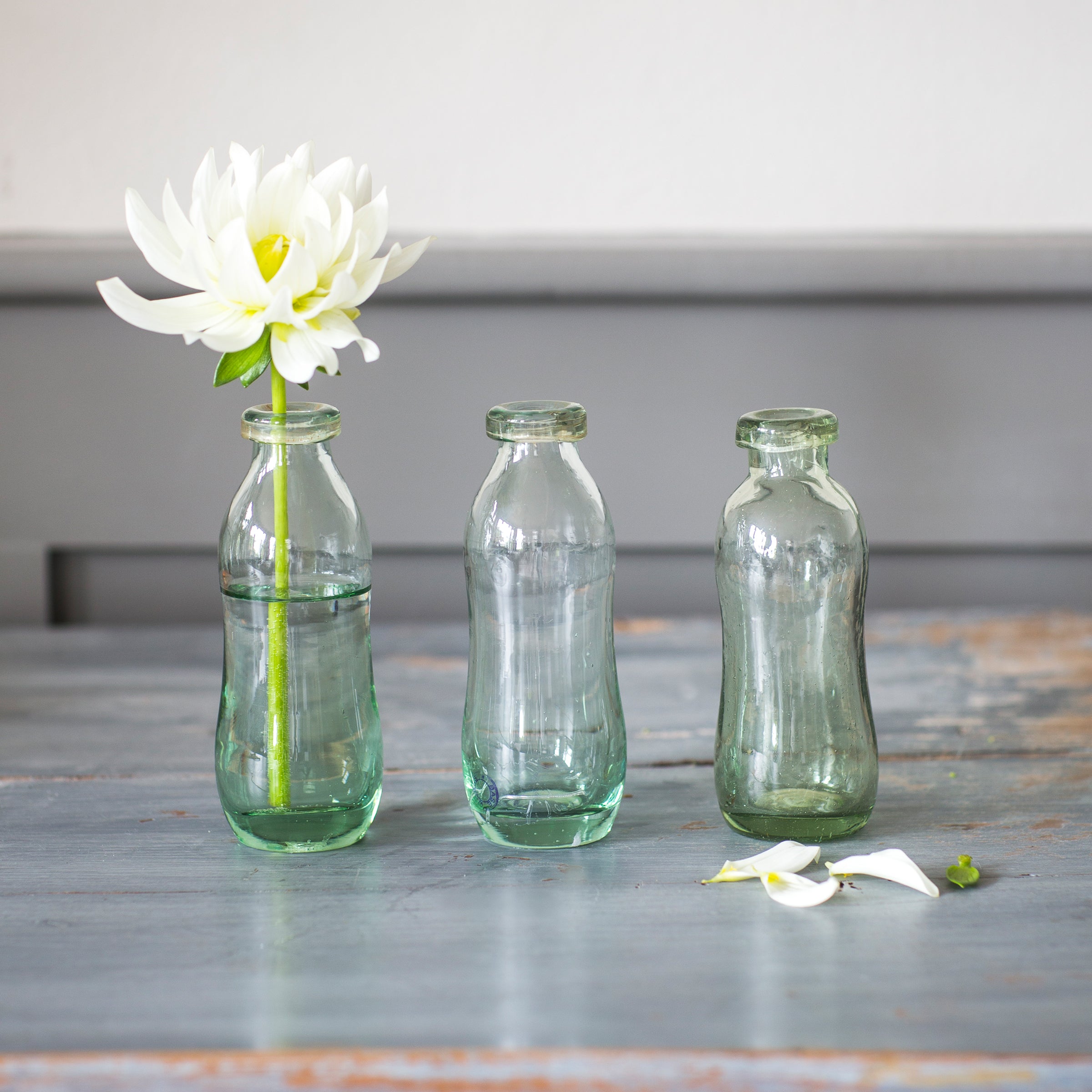 Vernham Recycled Glass Bottle Vases (Set of 3)
