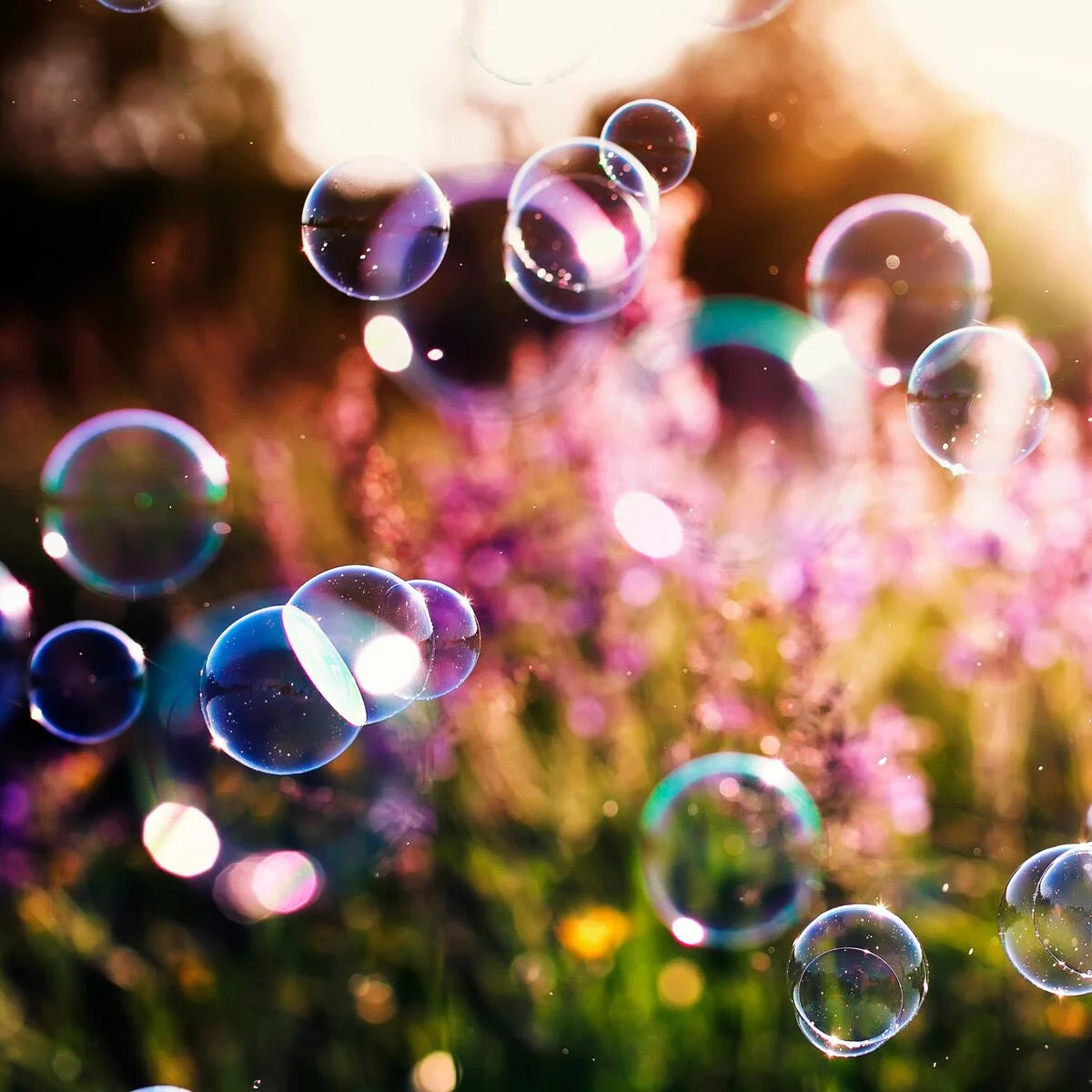 Soap Bubbles