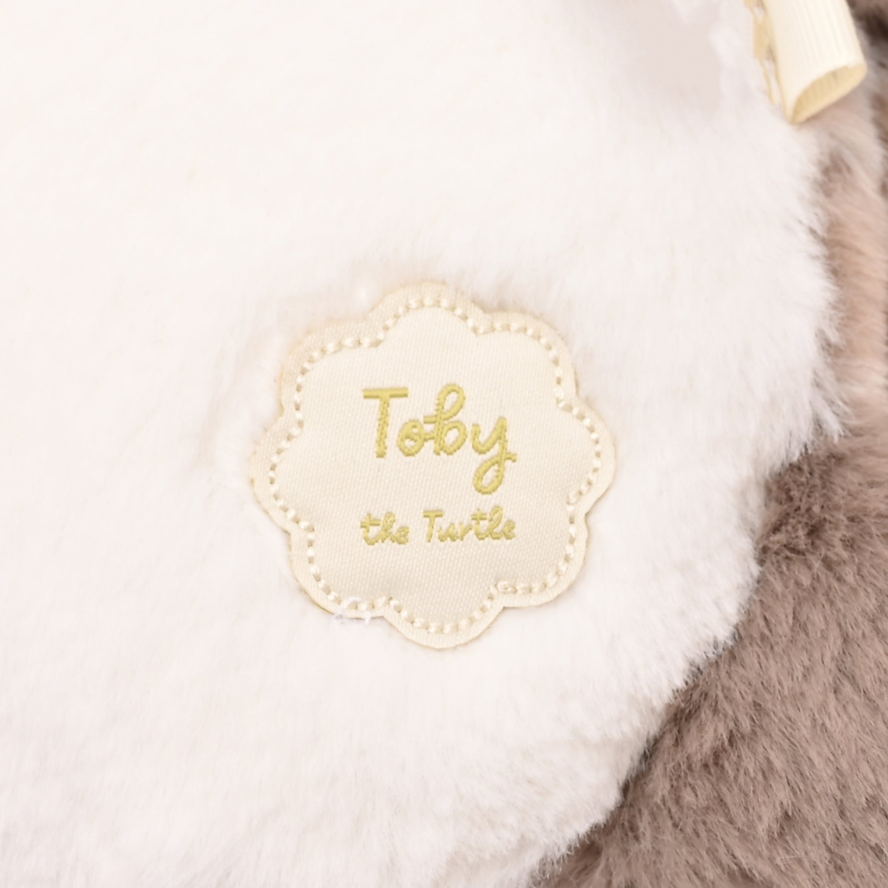 Toby The Plush Brown Turtle
