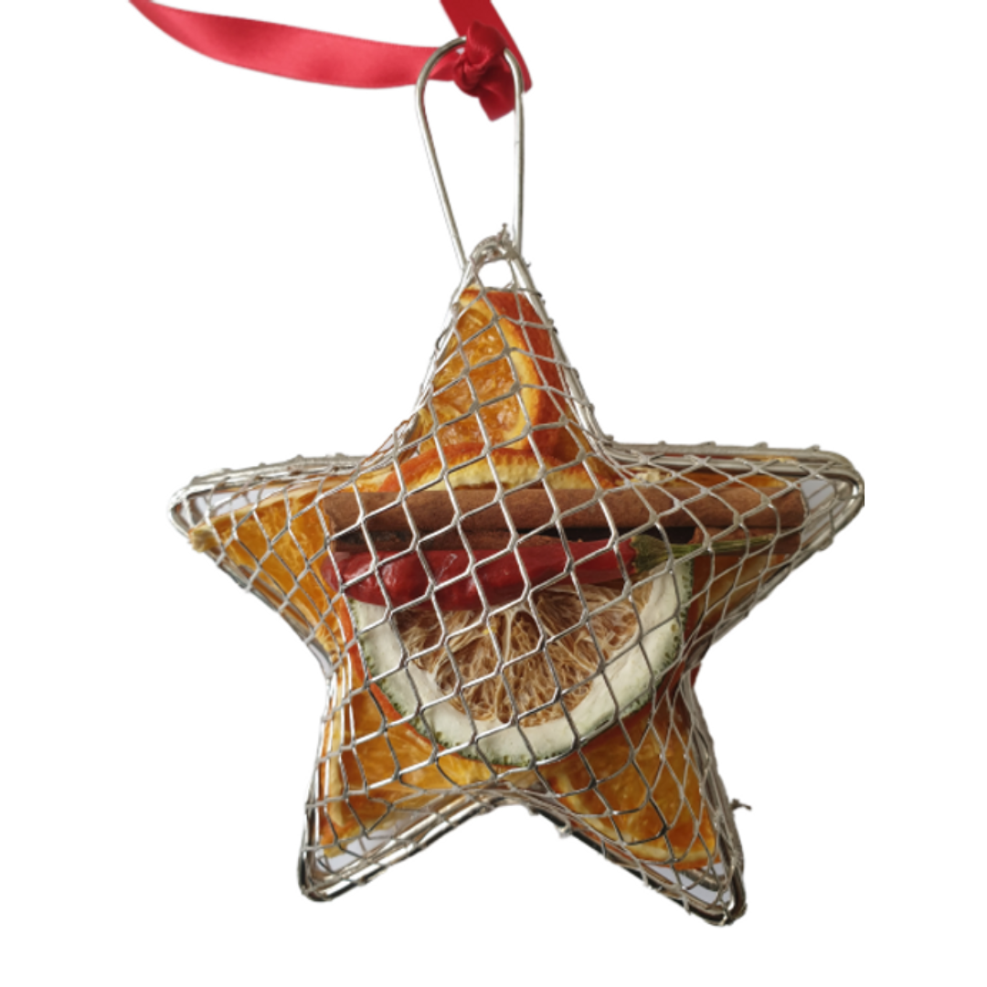 Fruit Hanging Silver Mesh Star (10cm)