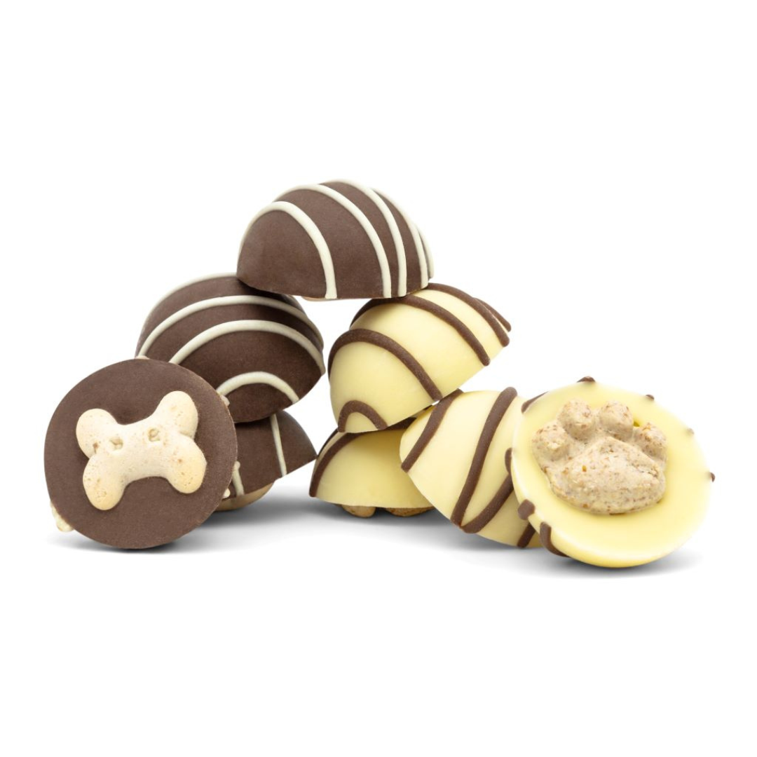 Ruffingtons Terrier Truffles