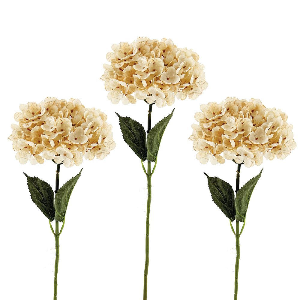 Off White Hydrangea Stem